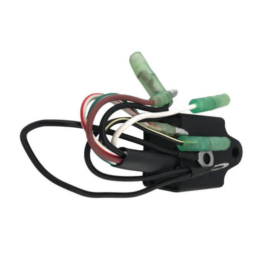 CDI Unit Assy for Yamaha 3HP 2-Stroke (6L5 Series)