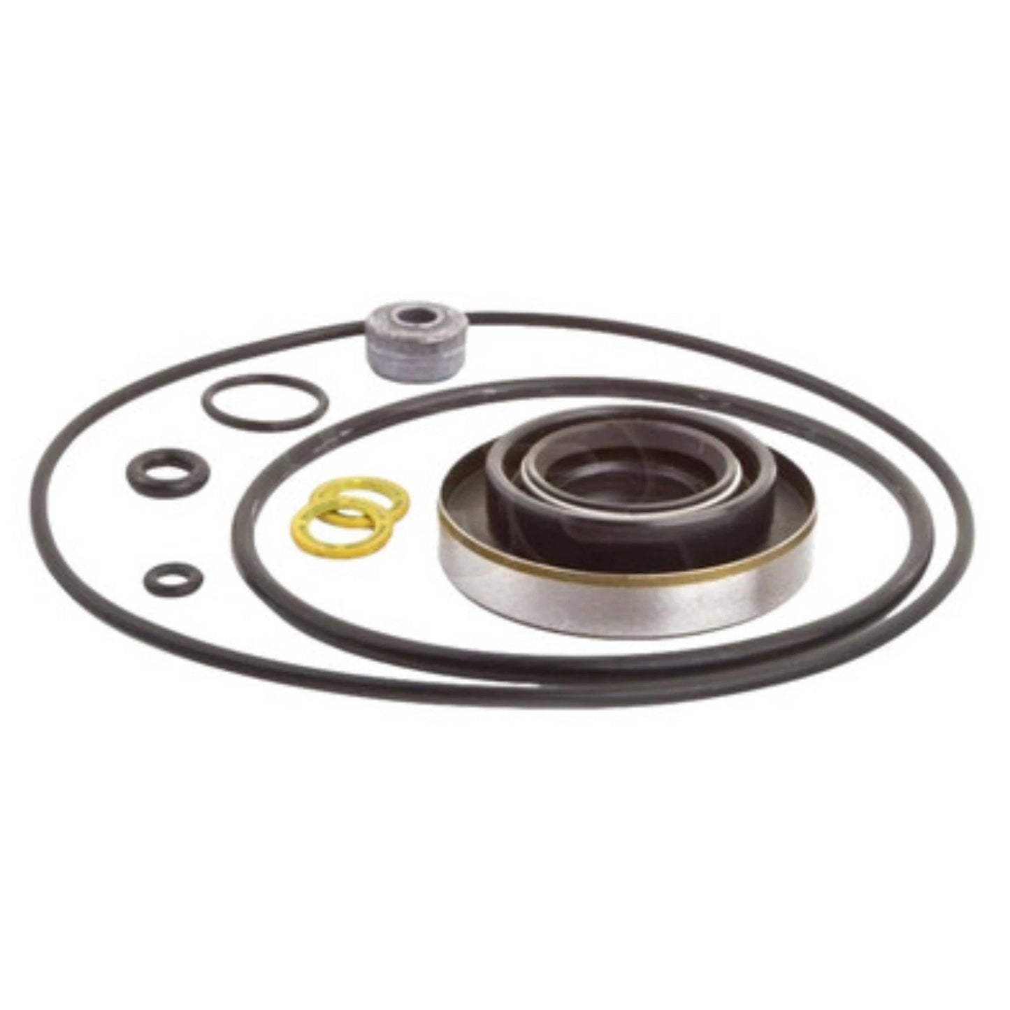 Seal Kit Lower Gearcase for Force 70-105HP 1970-79