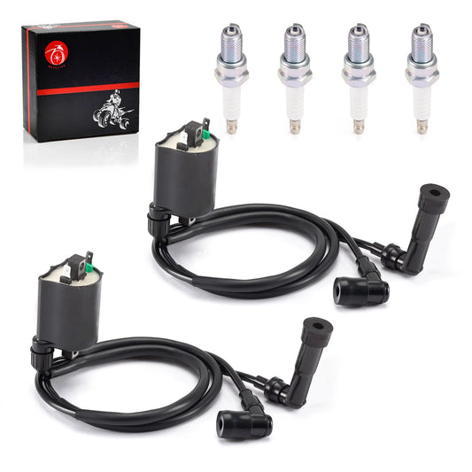 Ignition Coil for Kawasaki Vulcan 1500 Classic/Drifter/Nomad (1996-2008)