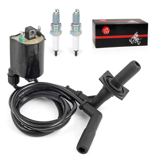 Ignition Coil & Spark Plug Cap for Honda Shadow 1100 VT1100 (1987-2007)