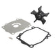 Water Pump Impeller Kit for Suzuki 150-225HP Outboard Motors