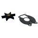 Water Pump Impeller & Gasket for Chrysler Force 25-50HP Boats