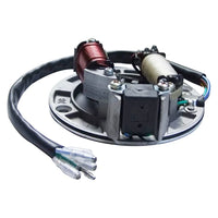 110cc Stator for Taotao/Kazuma/Sunl/JCL 4 Wheeler Magneto Coil