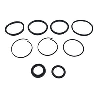 OMC Cobra Tilt & Trim Cylinder Repair Seal Kit for OMC Cobra 1990-1998