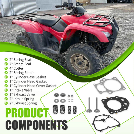 Cylinder Intake Exhaust Valve Kit for Honda Rancher TRX420 (2007-2014)