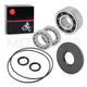 Differential Bearing & Seal Kit for Polaris Scrambler 1000 (2020)