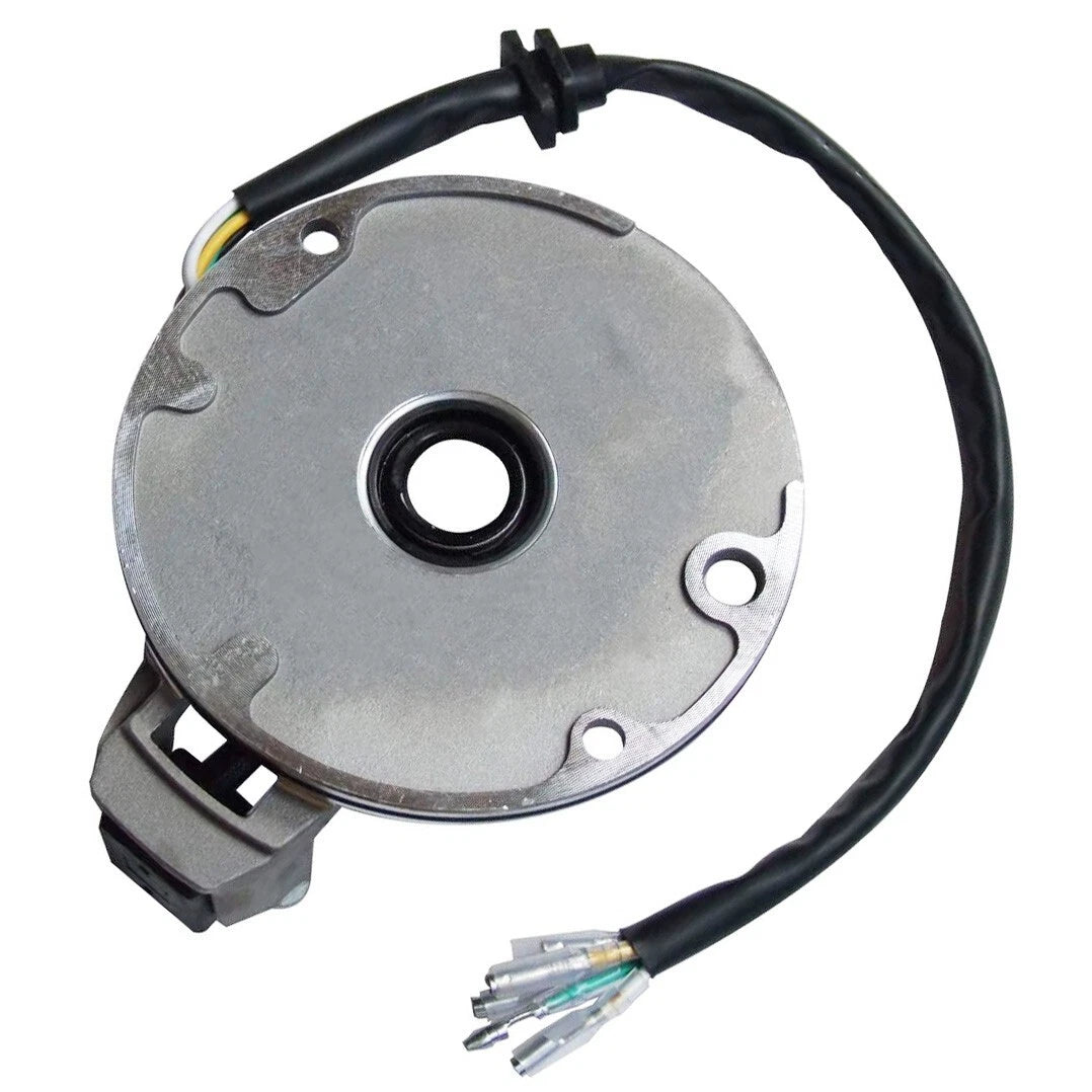 110cc Stator for Taotao/Kazuma/Sunl/JCL 4 Wheeler Magneto Coil