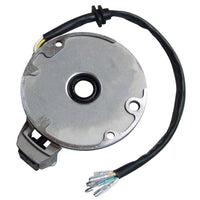 110cc Stator for Taotao/Kazuma/Sunl/JCL 4 Wheeler Magneto Coil