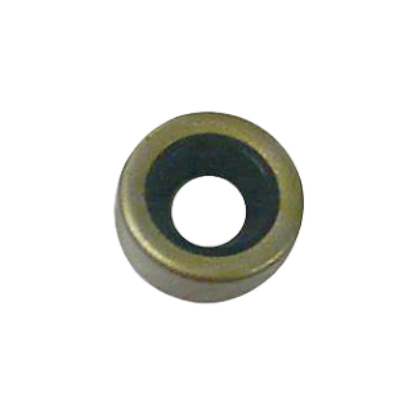 Drive Shaft Oil Seal for Johnson Evinrude 1.2-4HP (327031, 0300599)