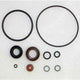 Outboard Lower Unit Seal Kit for Chrysler/Force 18-2636, 26-820645A1