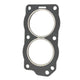 Head Gasket for Evinrude/Johnson 9.9HP/15HP 255cc (1993-1999)