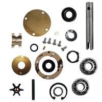 New Major Internal Repair Kit for Johnson 10-24178/10-24707 Pumps