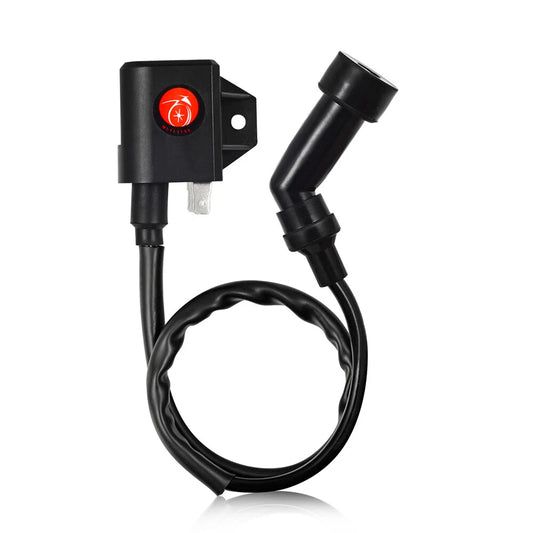 Ignition Coil & Spark Plug for Arctic Cat 400 4X4 (2003-2006)