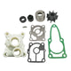 Water Pump Repair Kit for Tohatsu 15-20HP MFS15E/MFS20E 4-Stroke Outboard