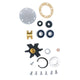 Water Pump Major Rebuild Kit for Yanmar Marine 2QM15 (1980-1990)