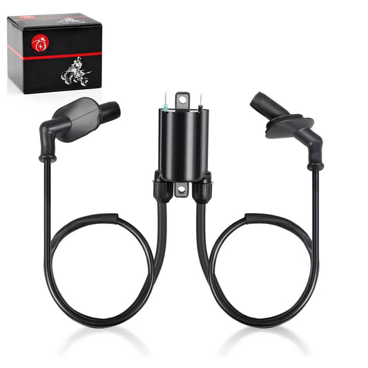 Ignition Coil & Spark Plug Cap for Honda GL1500CD Valkyrie 2001-2003