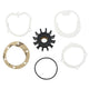 Inboard Engine Water Pump Impeller Kit for Johnson F5 Series F5B-9