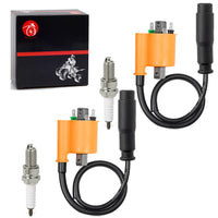 2X Ignition Coil & Cap for Kawasaki Teryx 750 KRF750 (2009-2013)