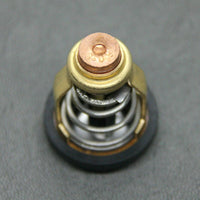 Yamaha Outboard Thermostat 60ºC for F75/F80/F90/F150 (67F Series)