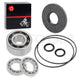 Differential Bearing Seal Kit for Polaris RZR 900/XP 900/XP 4 900